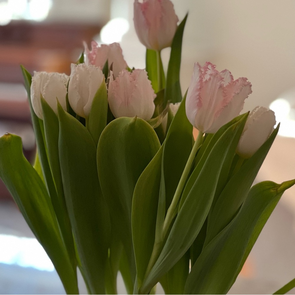 Hi! I sell only Brand New or Like New items 💛